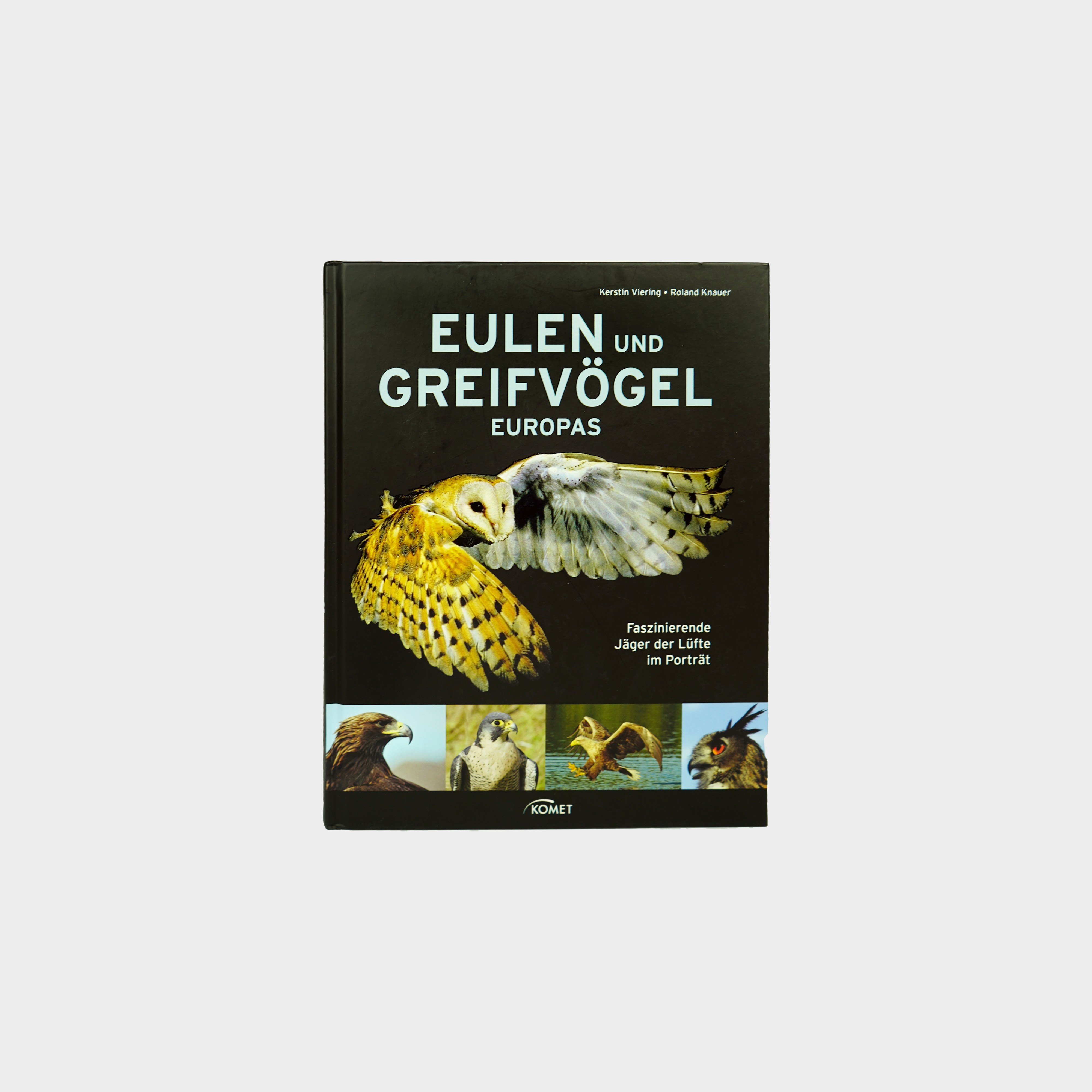 Greifvögel - Die Meister der Lüfte